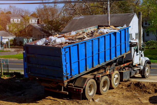 Best Basement Cleanout Services  in Keystone, FL
